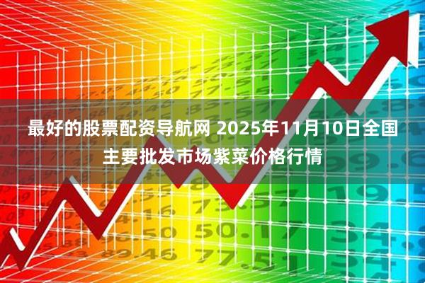 最好的股票配资导航网 2025年11月10日全国主要批发市场紫菜价格行情