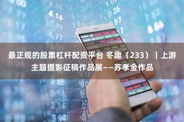 最正规的股票杠杆配资平台 冬趣（233）｜上游主题摄影征稿作品展——苏孝金作品