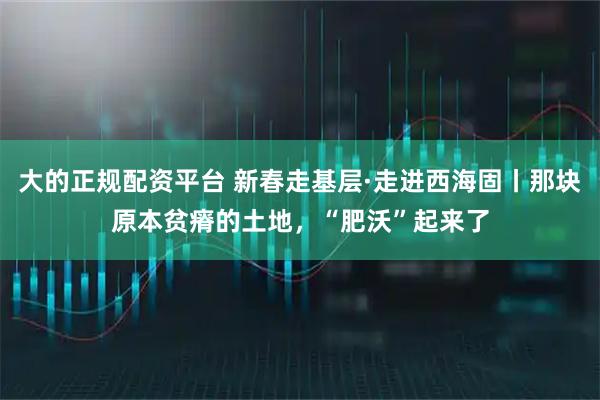 大的正规配资平台 新春走基层·走进西海固丨那块原本贫瘠的土地，“肥沃”起来了
